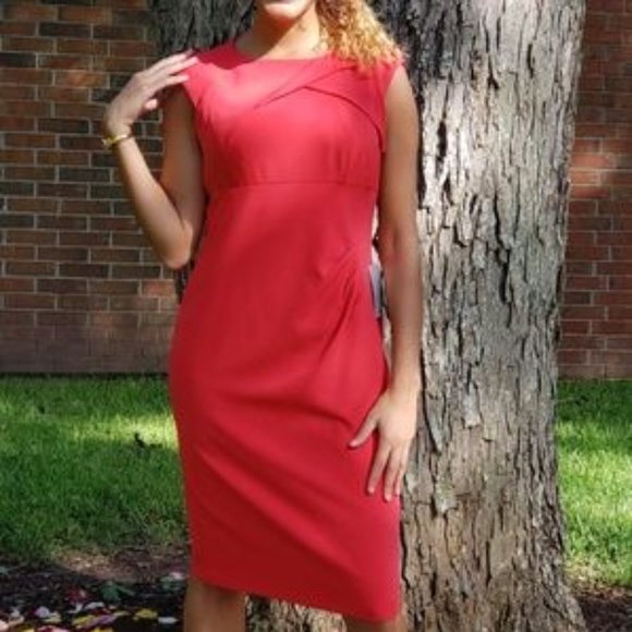 Adrianna Papell Dresses & Skirts - 🎉HOST PICK🎉NWT Adrianna Papell Sheath Dress!